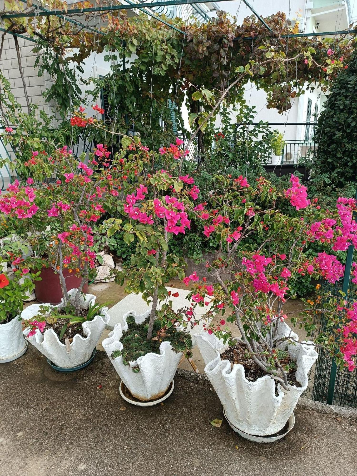 Apartment Ante بريلا المظهر الخارجي الصورة