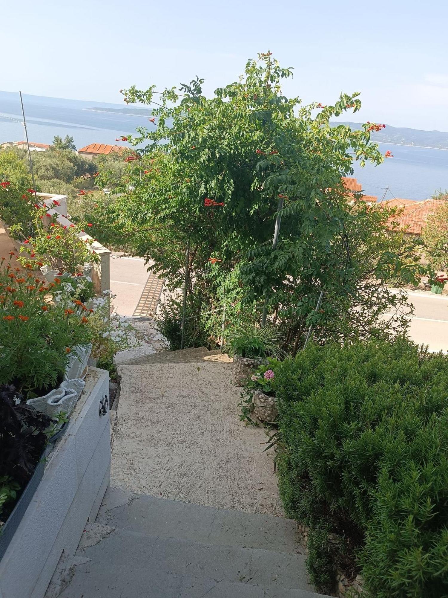 Apartment Ante بريلا المظهر الخارجي الصورة
