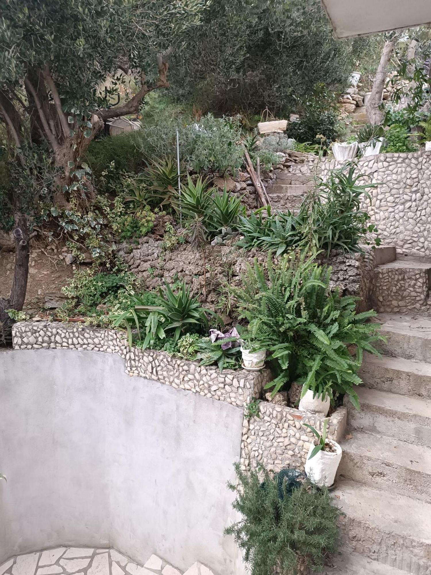 Apartment Ante بريلا المظهر الخارجي الصورة