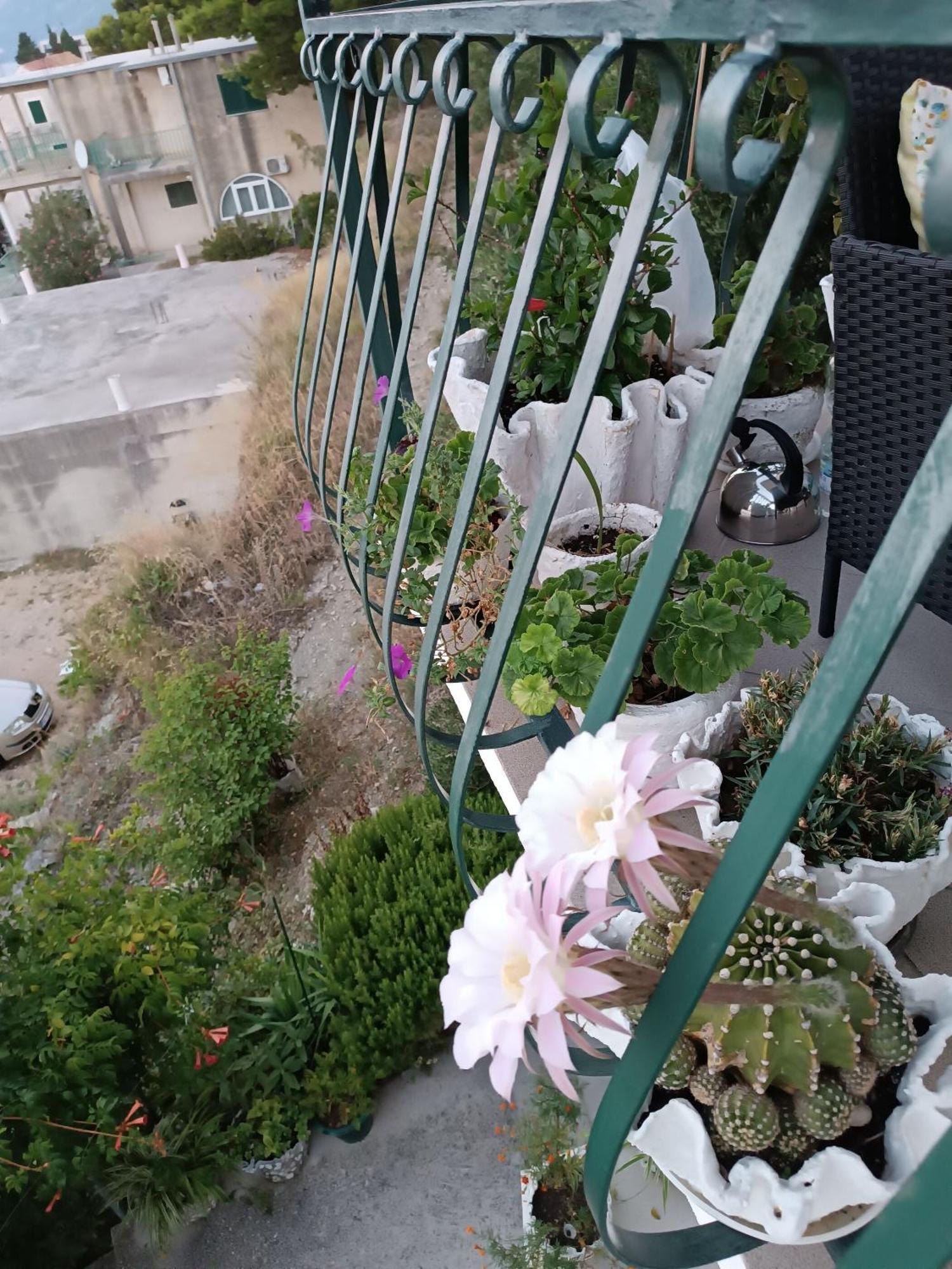 Apartment Ante بريلا المظهر الخارجي الصورة