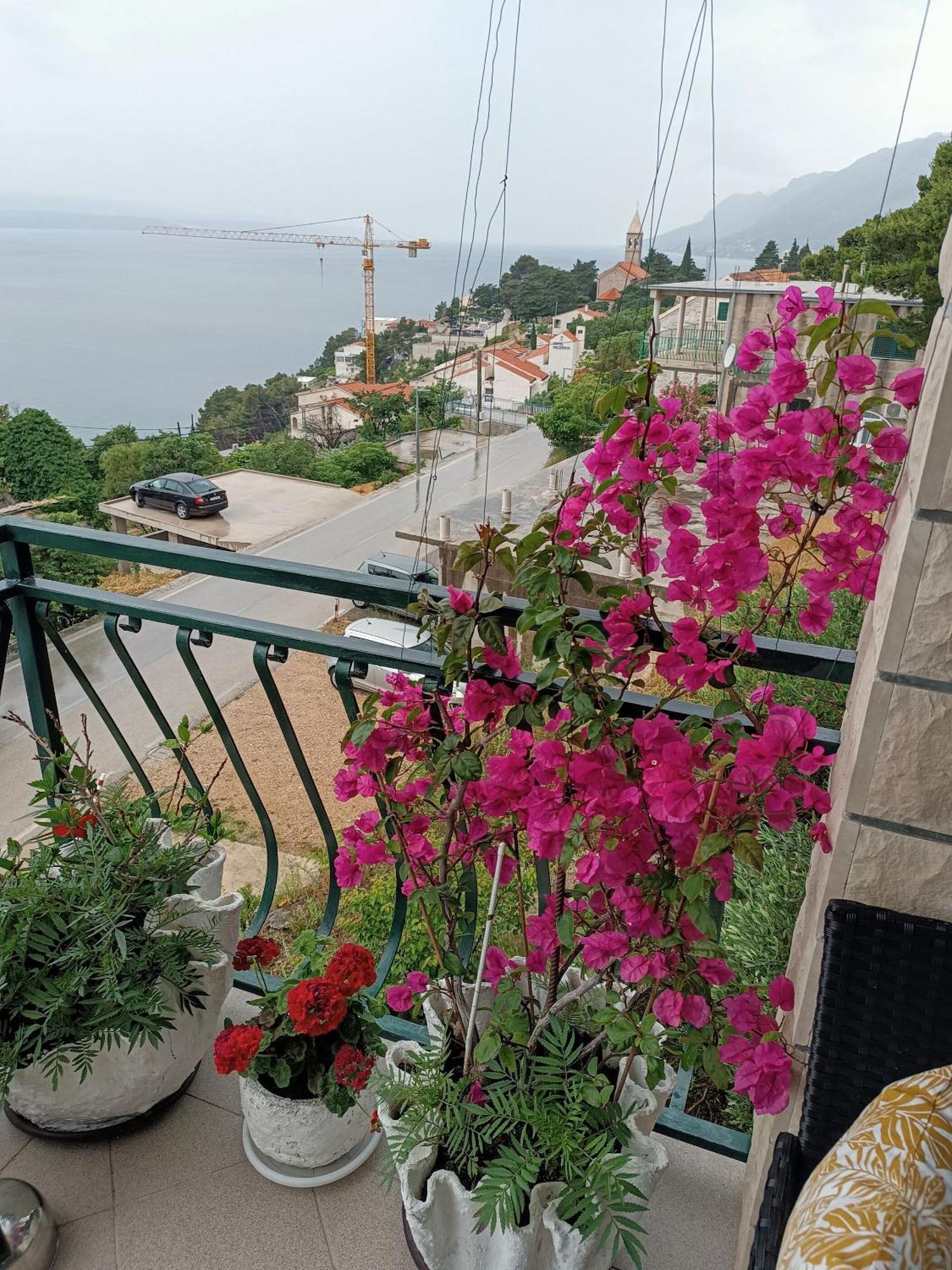 Apartment Ante بريلا المظهر الخارجي الصورة